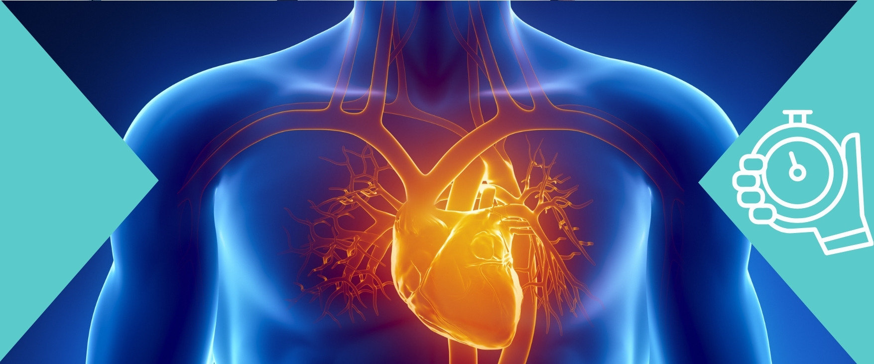 La fréquence cardiaque : mesure et applications à l’entraînement
