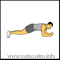 Abdo ABS - Bridge (Plank) on elbows