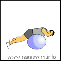 Abdo ABS - Back Extension on Ball