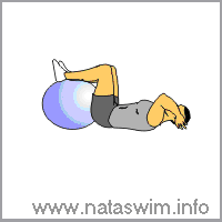 Abdo ABS - Crunch (feet on ball)