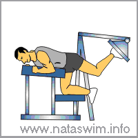 Glute Kicks with Machine