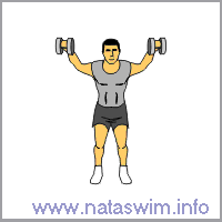 Dumbbell Lateral Raise