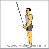 Two Arm Cable Pushdown