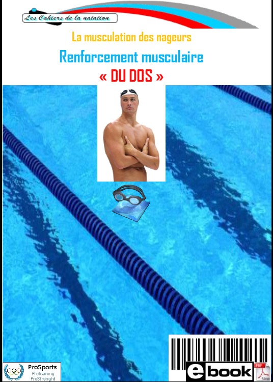 Renforcement musculaire du dos