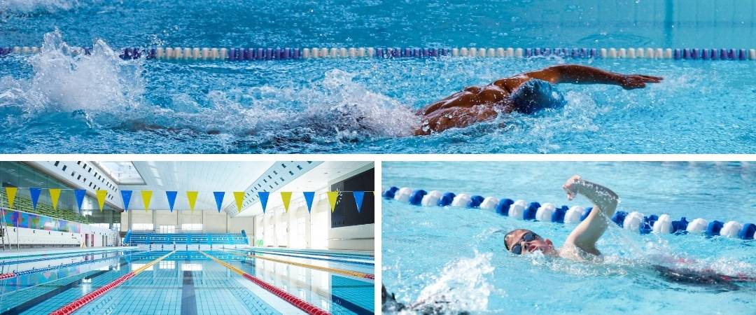 L'entraînement en natation : - Tolérance lactique