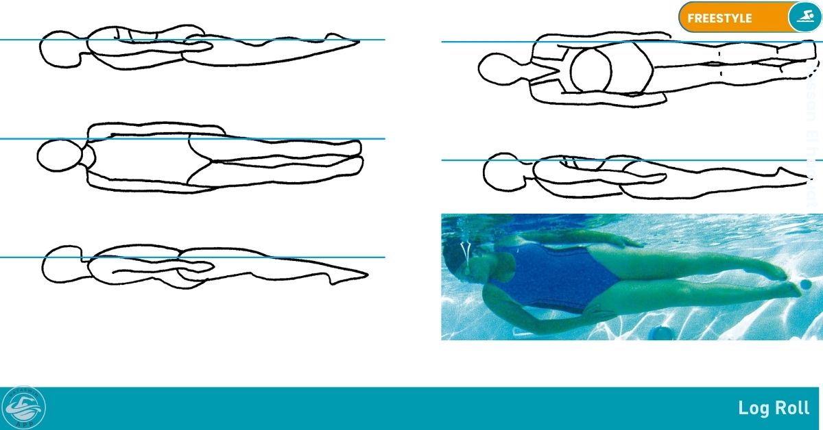 FreeStyle : - Body Position Drills - nataswim
