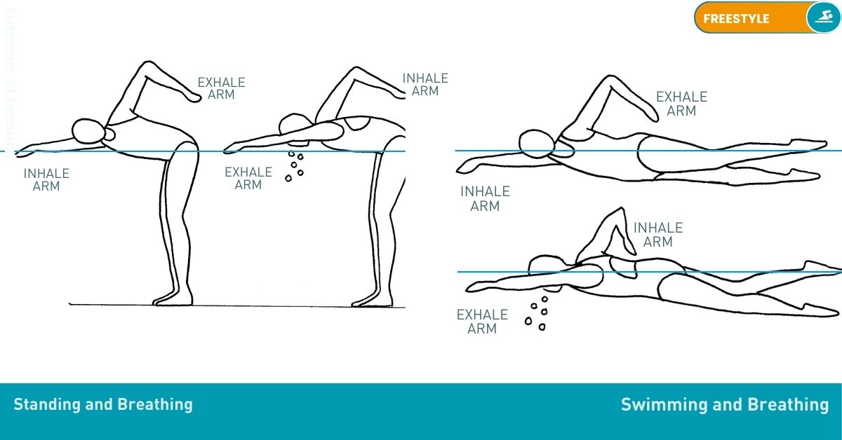 Freestyle : - Breathing Drills