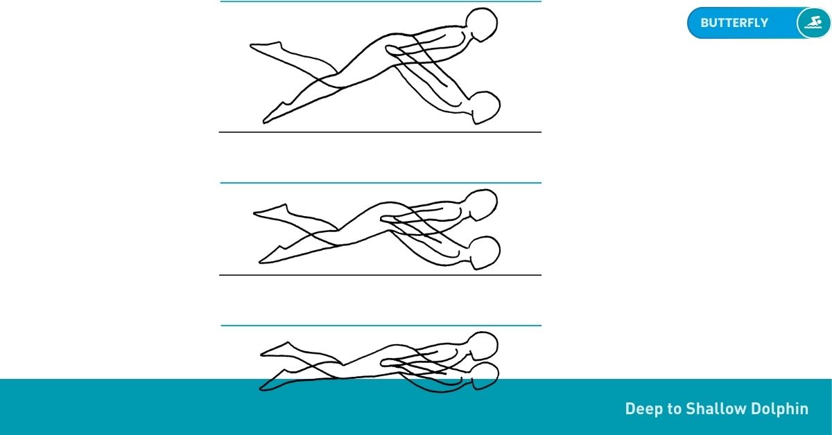 Swimming Drills Stroke Nataswim Elhaouat 102